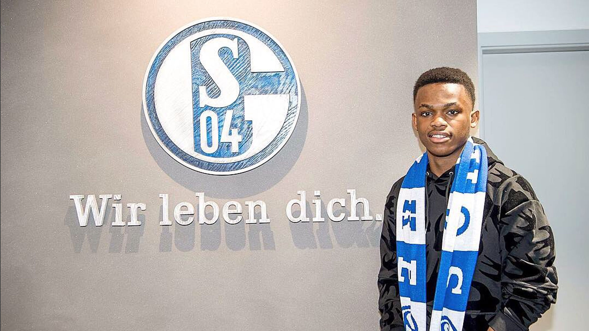 他们采用高 他们采用高