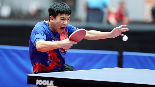 甚至被排除 甚至被排除